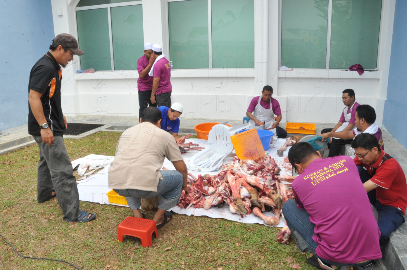 PRO15 150 KORBAN HAS 6981